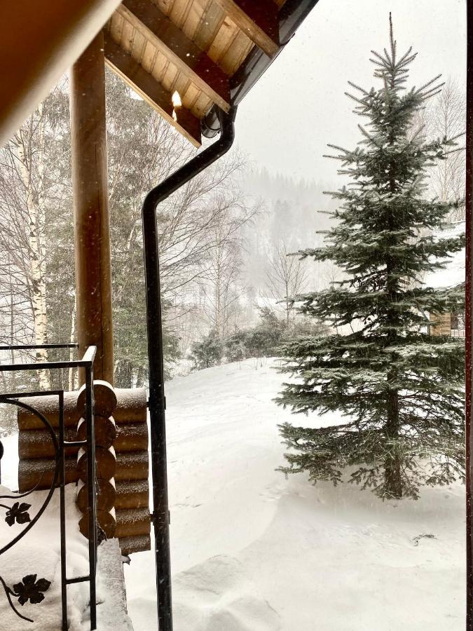 Chalet Four Seasons Villa Tatariv Dış mekan fotoğraf