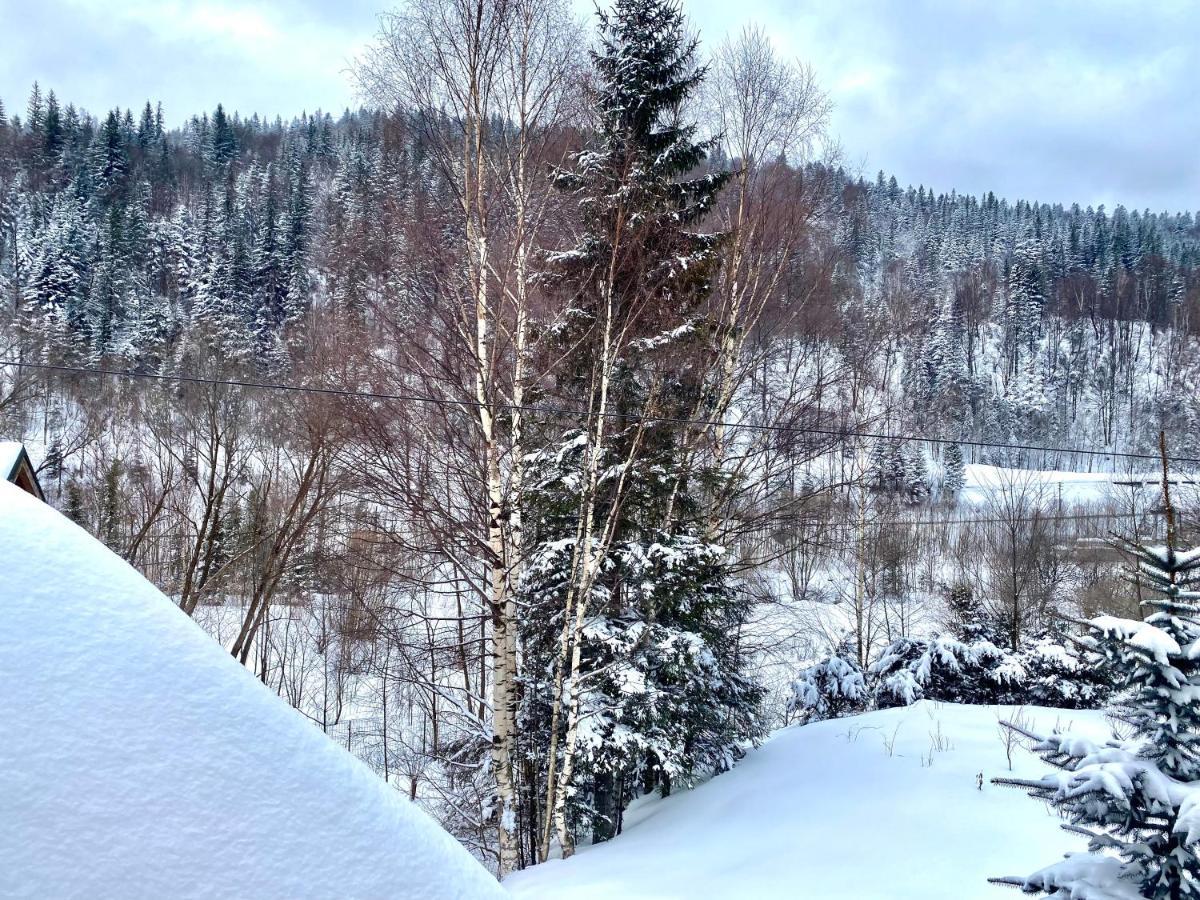 Chalet Four Seasons Villa Tatariv Dış mekan fotoğraf